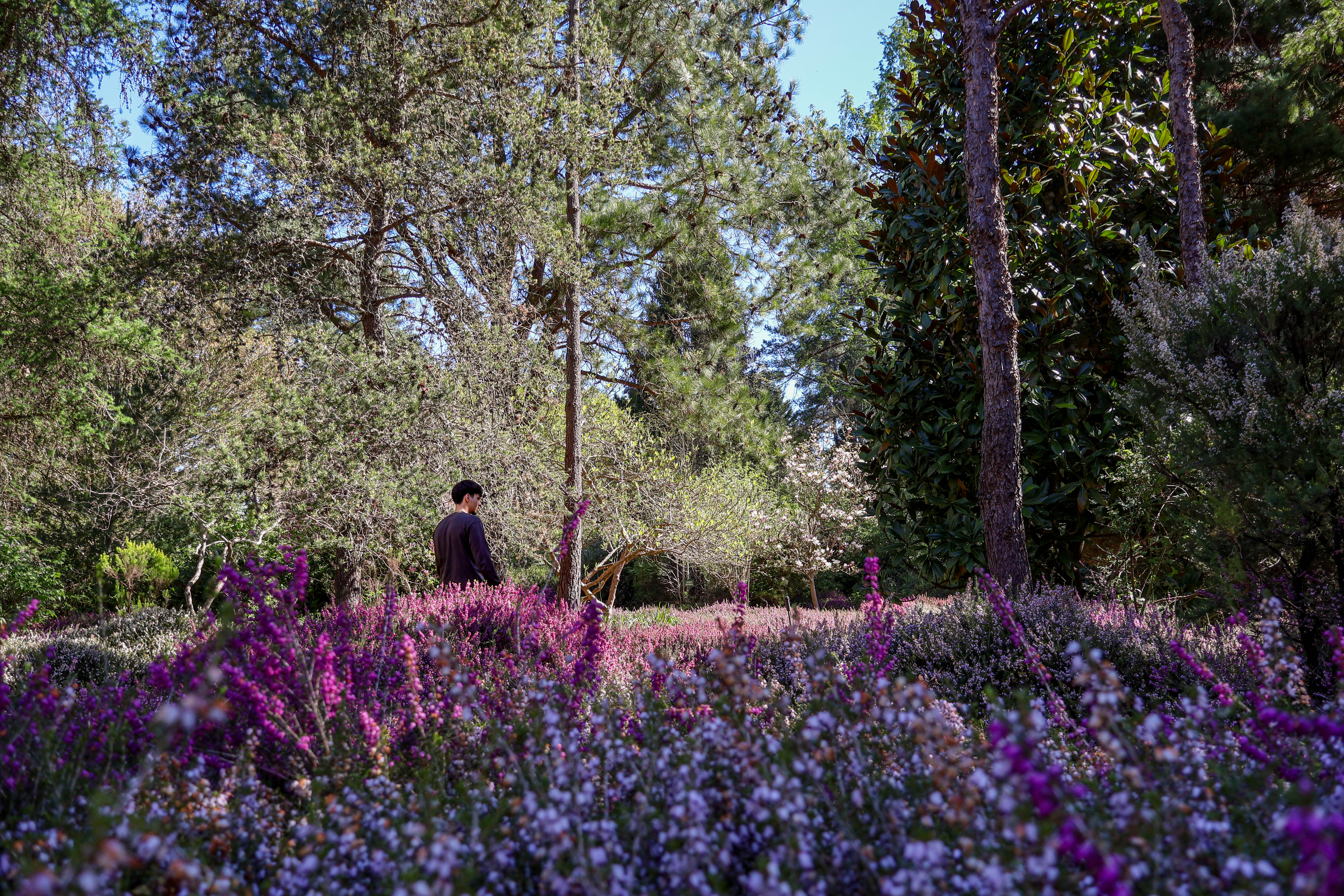 Circuit de l'Arboretum des Grandes Bruyères, Vitry-aux-Loges - photo 7
