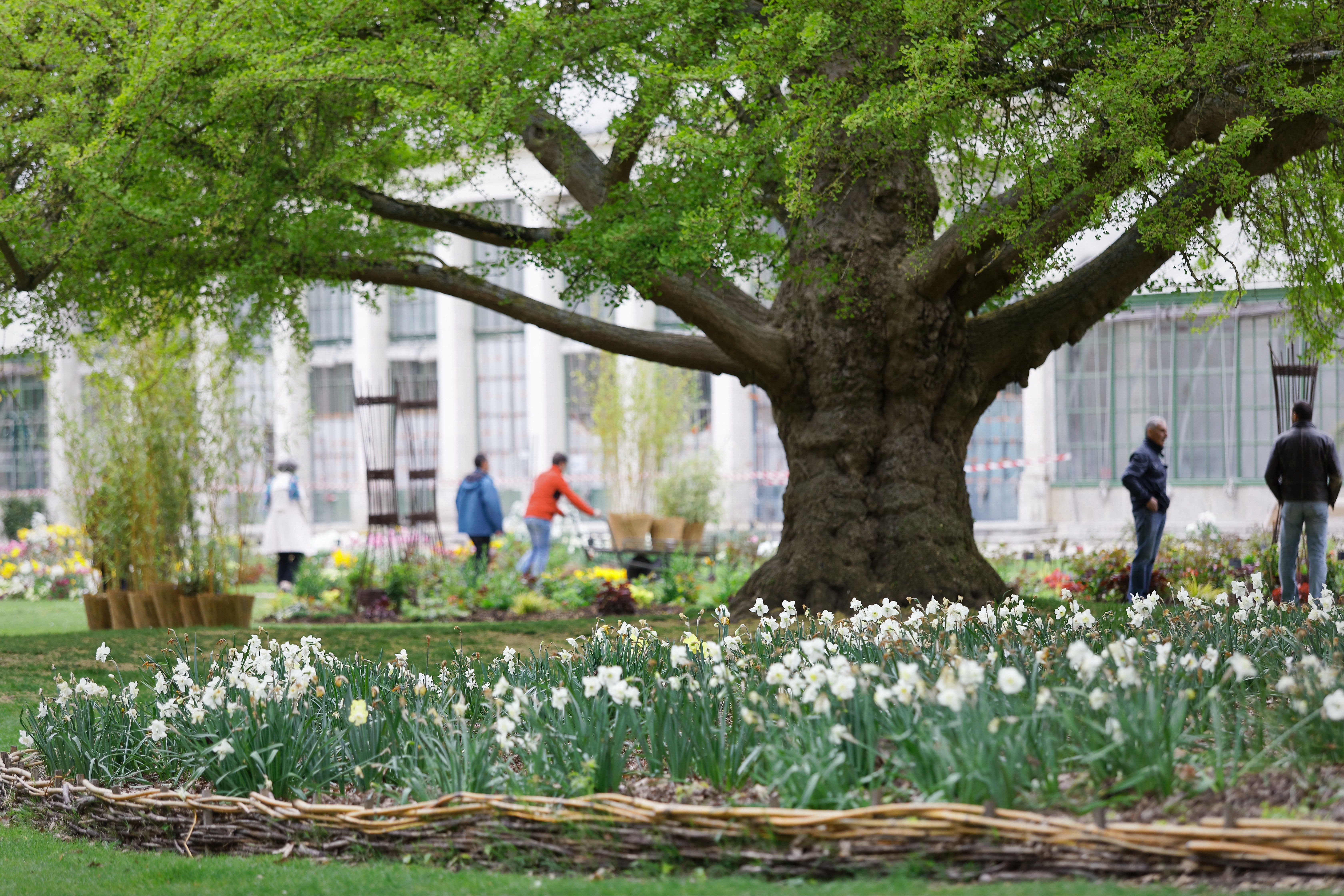 Parc Louis Pasteur, Orléans - photo 8
