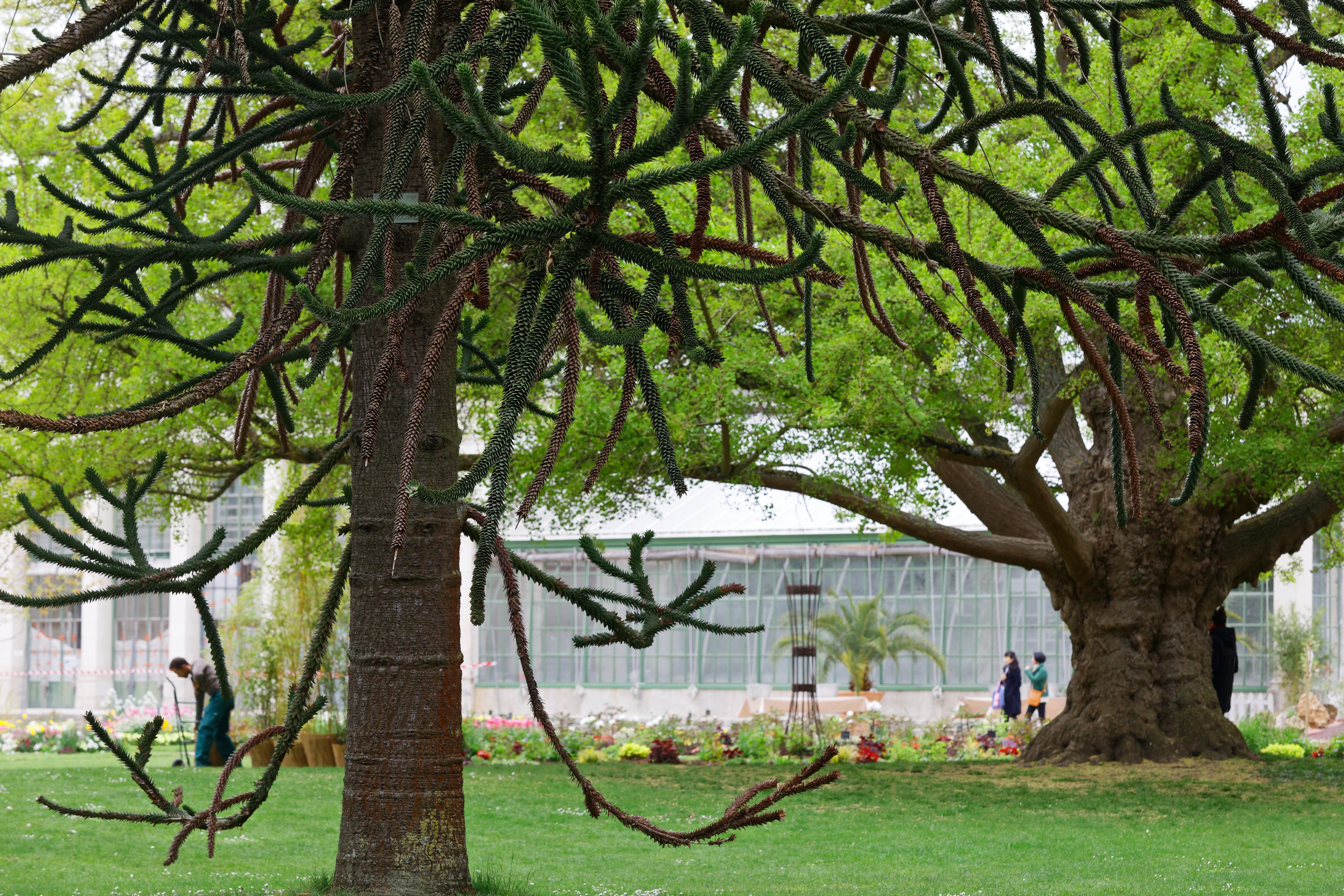 Parc Louis Pasteur, Orléans - photo 21