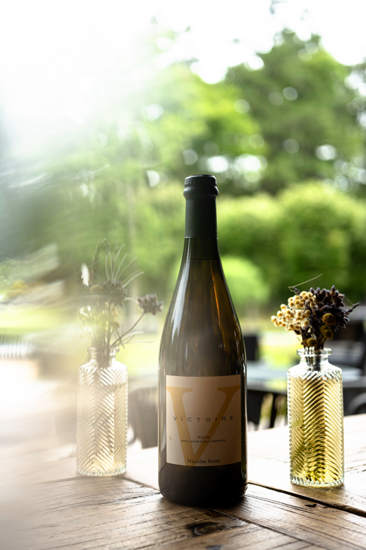 Ardent, Esvres - photo 10