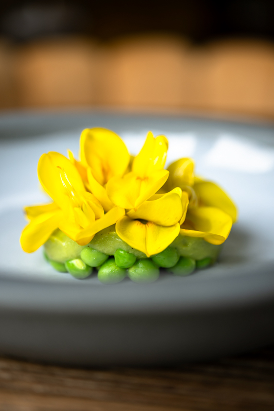 Ardent, Esvres - photo 3