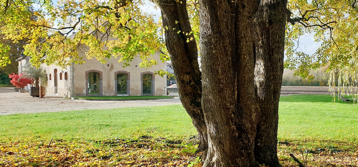 Les Ecuries de Mussy : galerie d'art chez Agnes Frattini, Adon