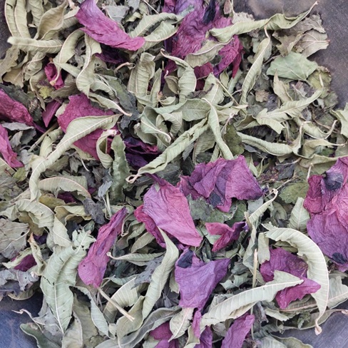 Atelier tisane personnalisée Été — visuel événement
