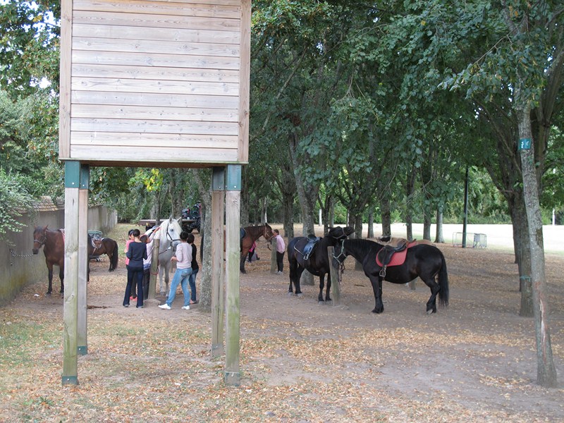 Les attelages du Château — photo 3