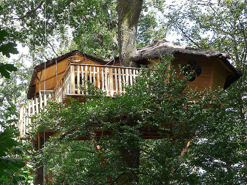 Domaine de Meaucé - La cabane du cerf