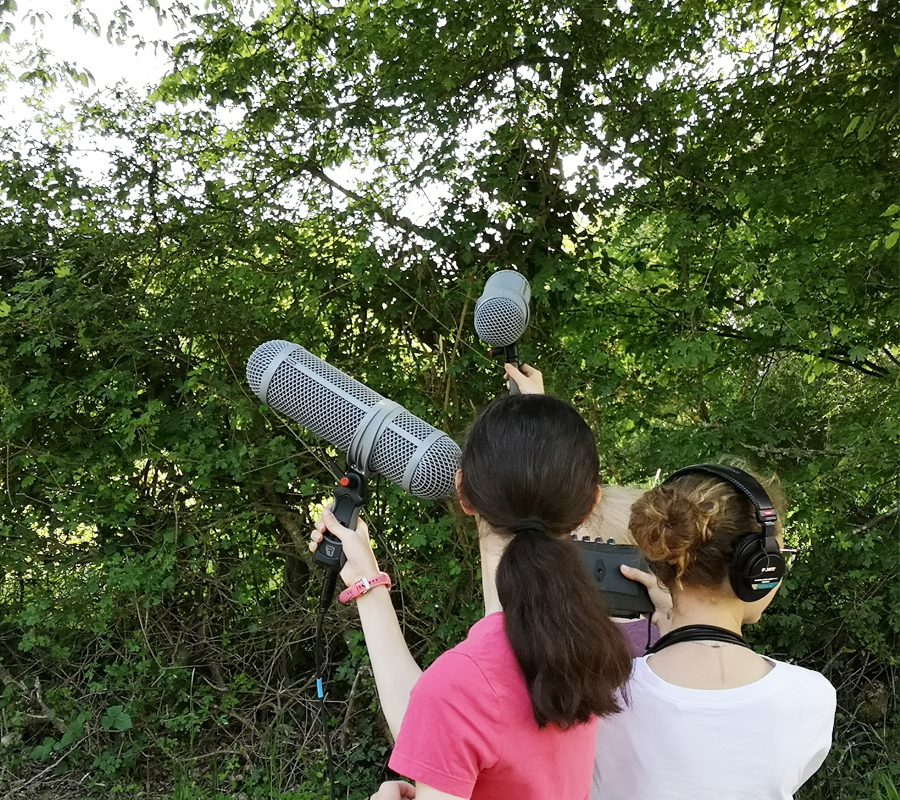 Audio-naturaliste en herbe — visuel événement