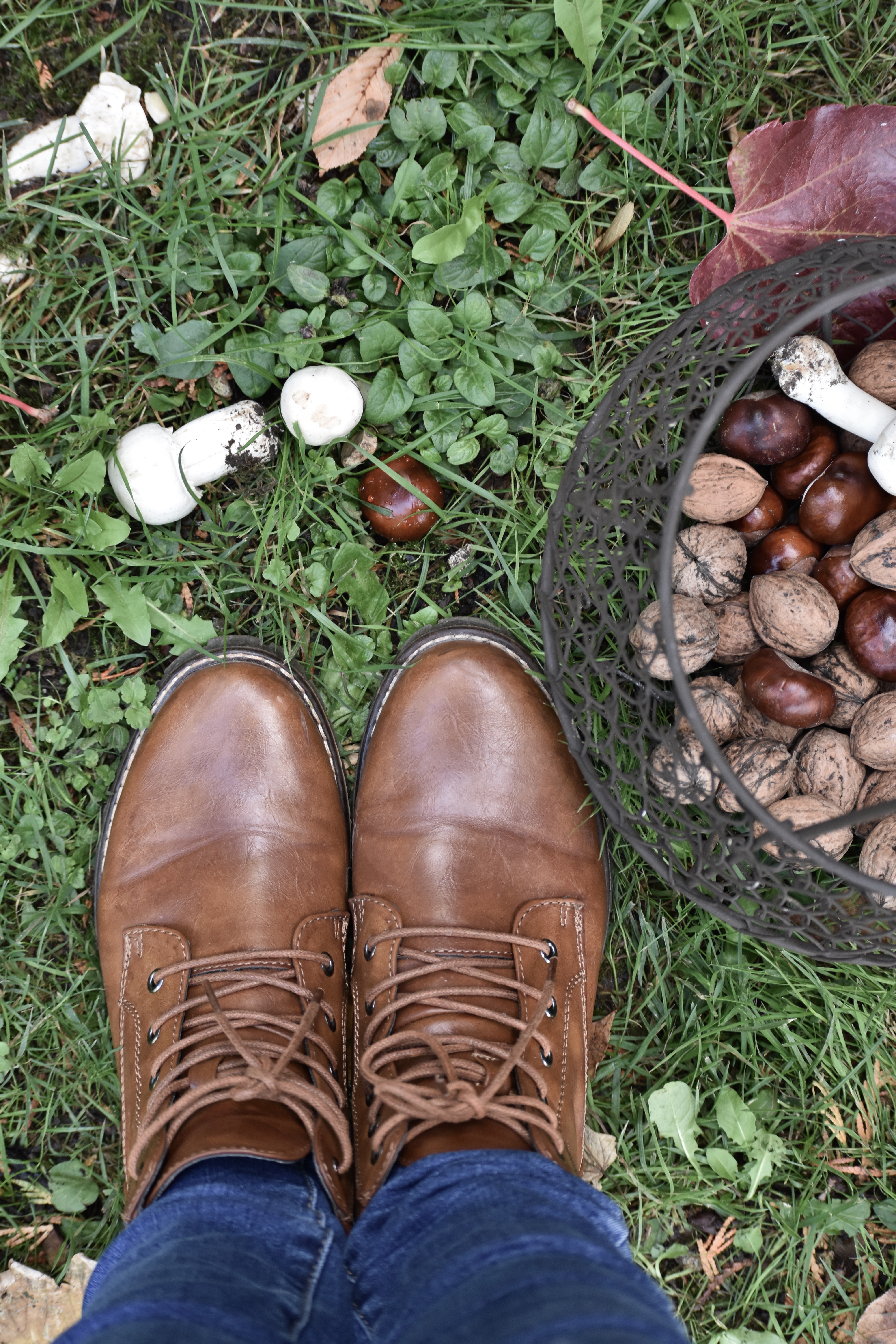 Forêt domaniale de Dreux, Abondant - photo 3