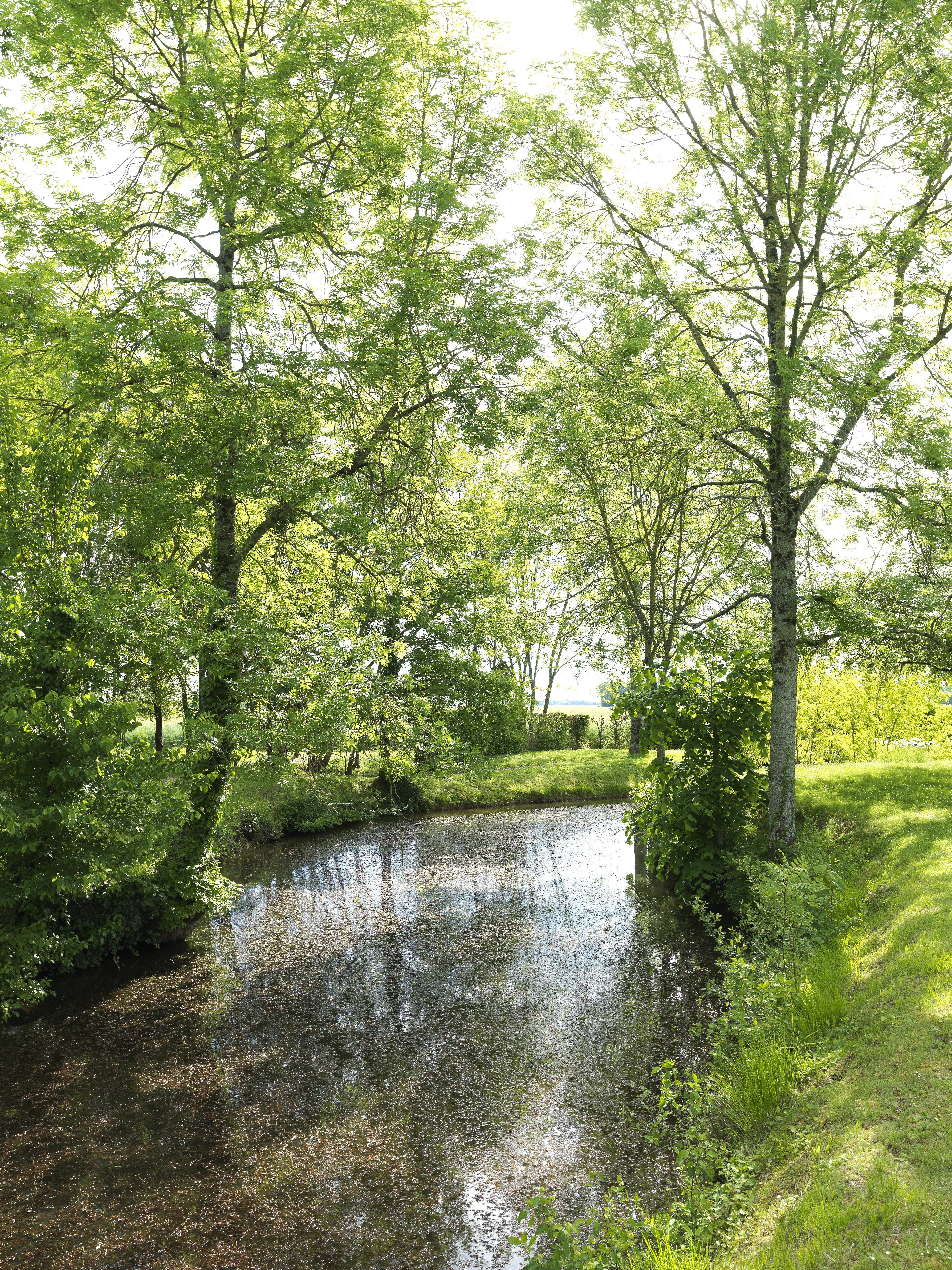 Randonnée Morand - parcours du château