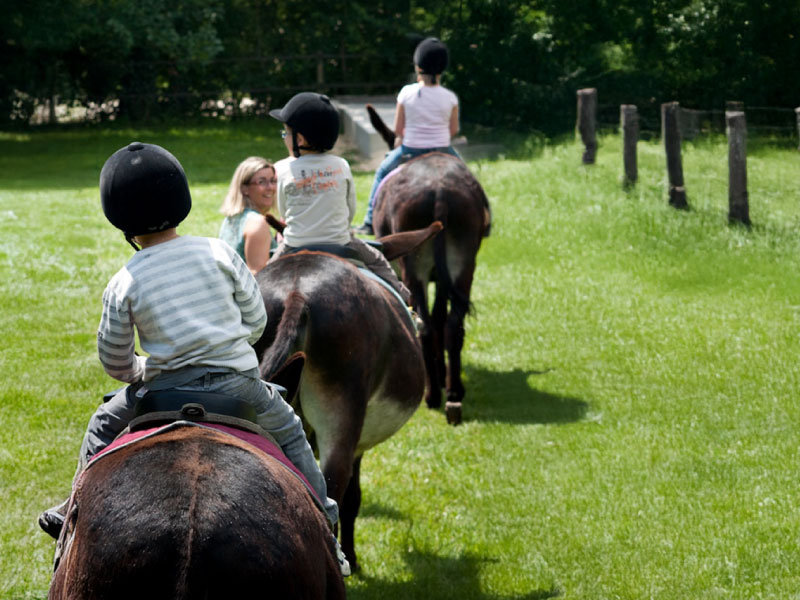 Pôle du Cheval et de l'Âne, La Celle-Condé - photo 6