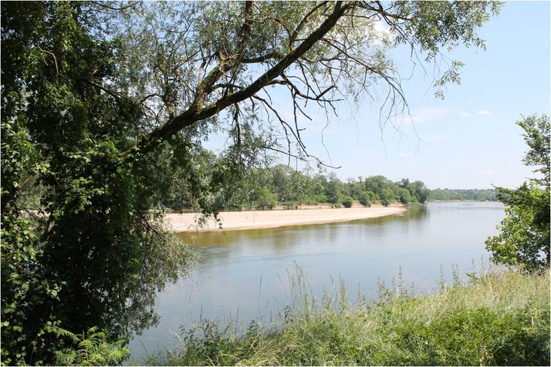 Dans la roue d'Albert Bourlon