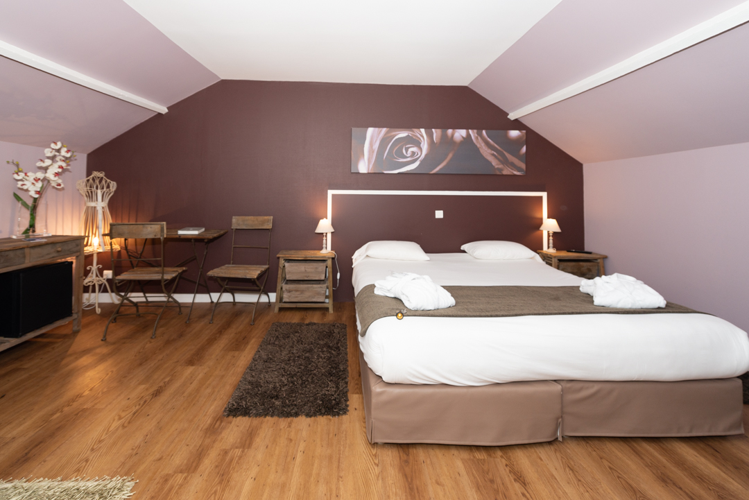 Gingko Hôtel, La Chaussée-d'Ivry - photo 3