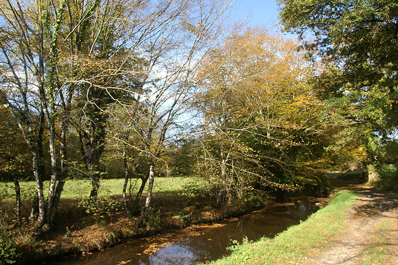 Balade à pied à Beaulieu - En suivant le Bel Rio
