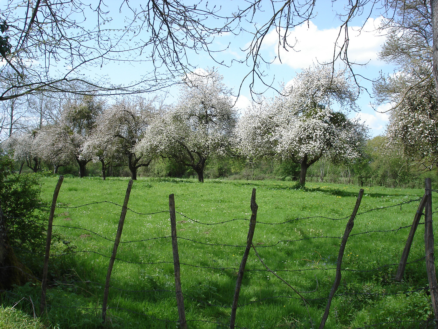 L’Espace Naturel Sensible : « Bocage de Noirlac »