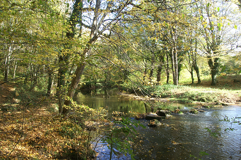 Balade à pied à Bonneuil - Au fil de la Benaize