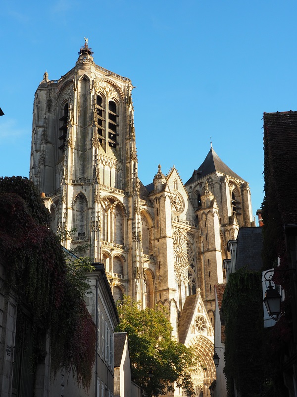 Visite guidée : La Cathédrale Saint Etienne Image de couverture