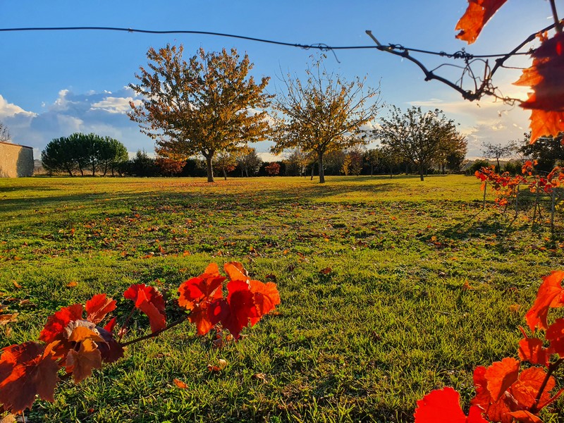 Le Riche Lieu de Mosson, Braye-sous-Faye - photo 3
