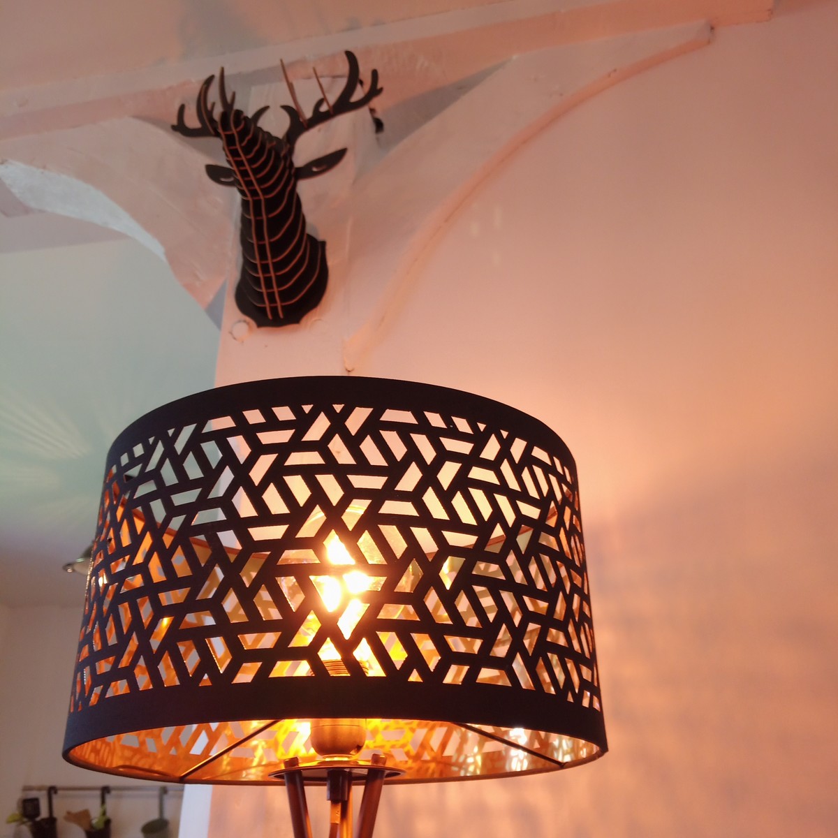 Au repos des elfes - Le grand Chevreuil au nez vert, Braye-sous-Faye - photo 4