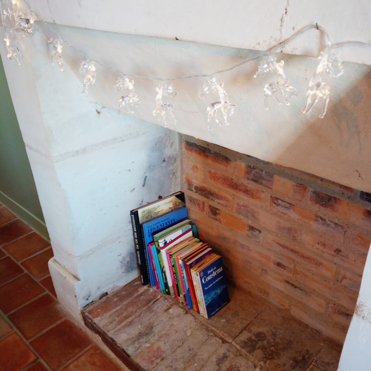 Au repos des elfes - Le grand Chevreuil au nez vert, Braye-sous-Faye - photo 26