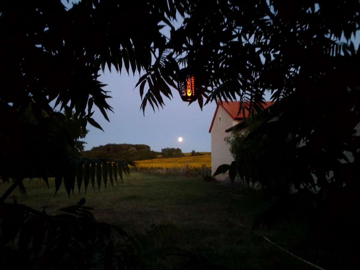 Au repos des elfes - Les licornes n'y voient que du bleu, Braye-sous-Faye - photo 21