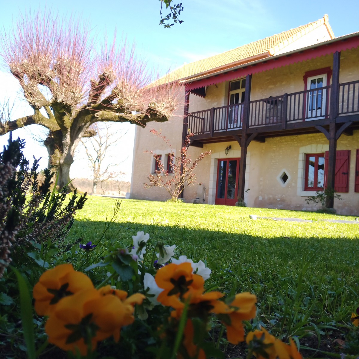 Au repos des elfes - Les licornes n'y voient que du bleu, Braye-sous-Faye - photo 32