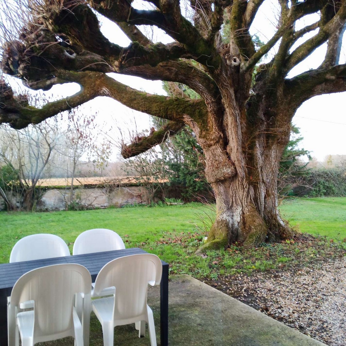 Au repos des elfes - Les licornes n'y voient que du bleu, Braye-sous-Faye - photo 26