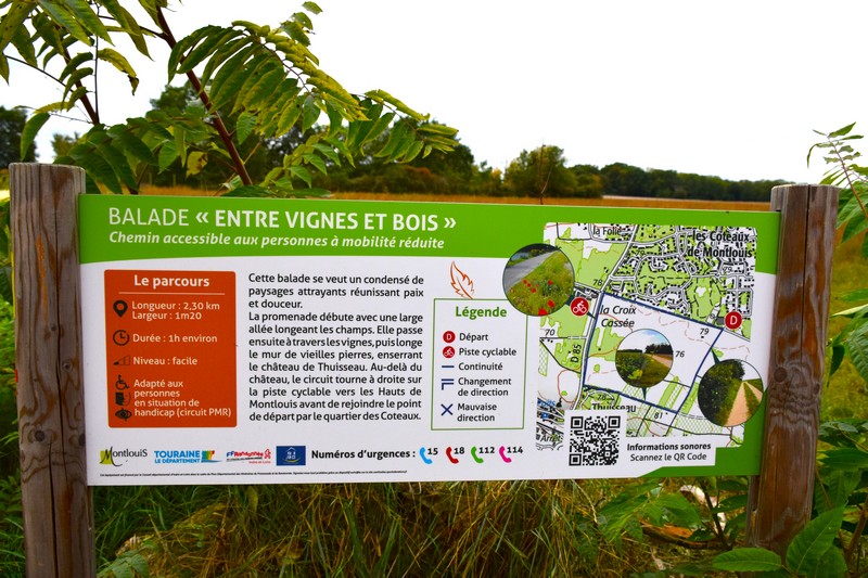 Balade Entre Vignes et Bois - balade PMR - photo 2