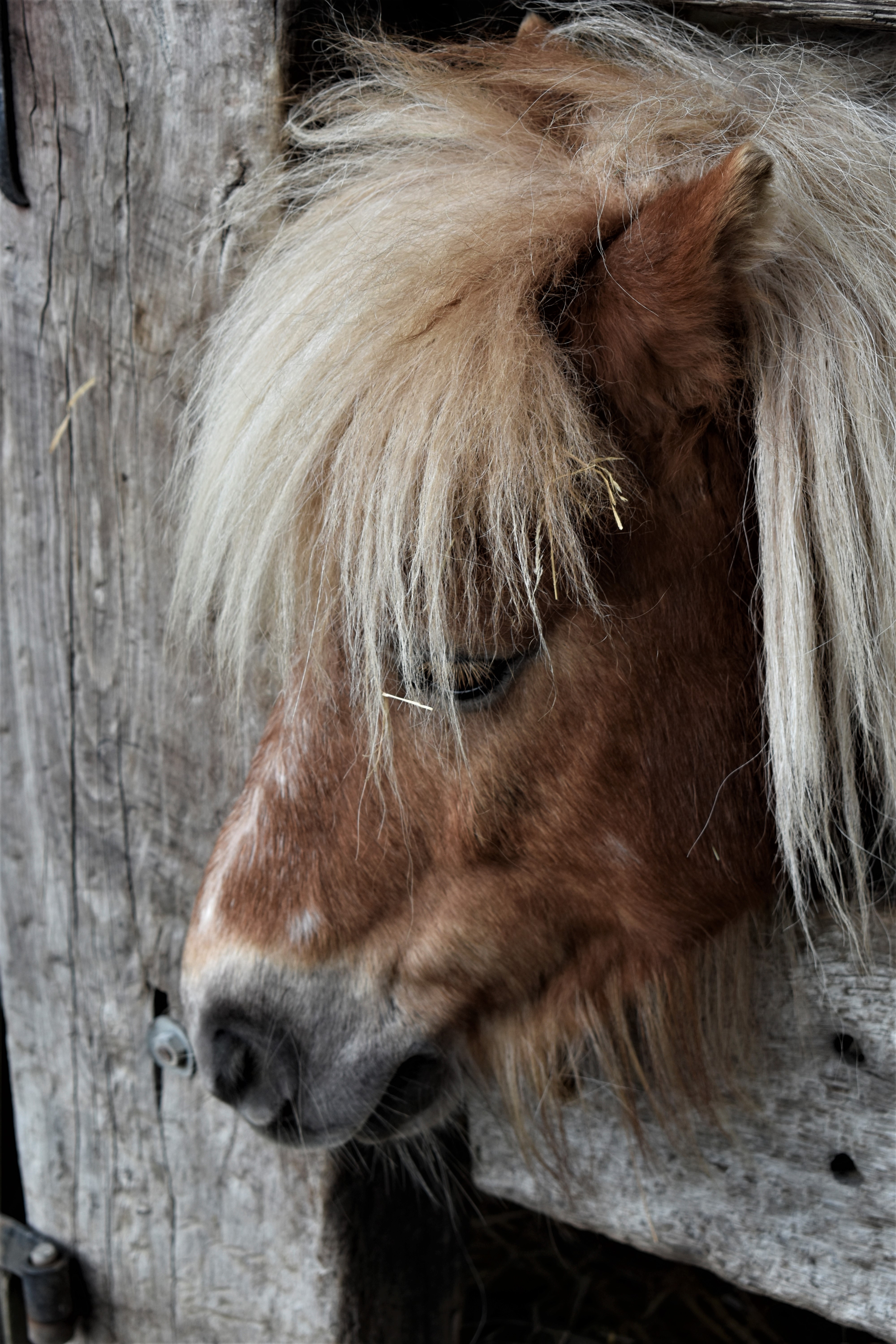 Les Ecuries de Cherisy