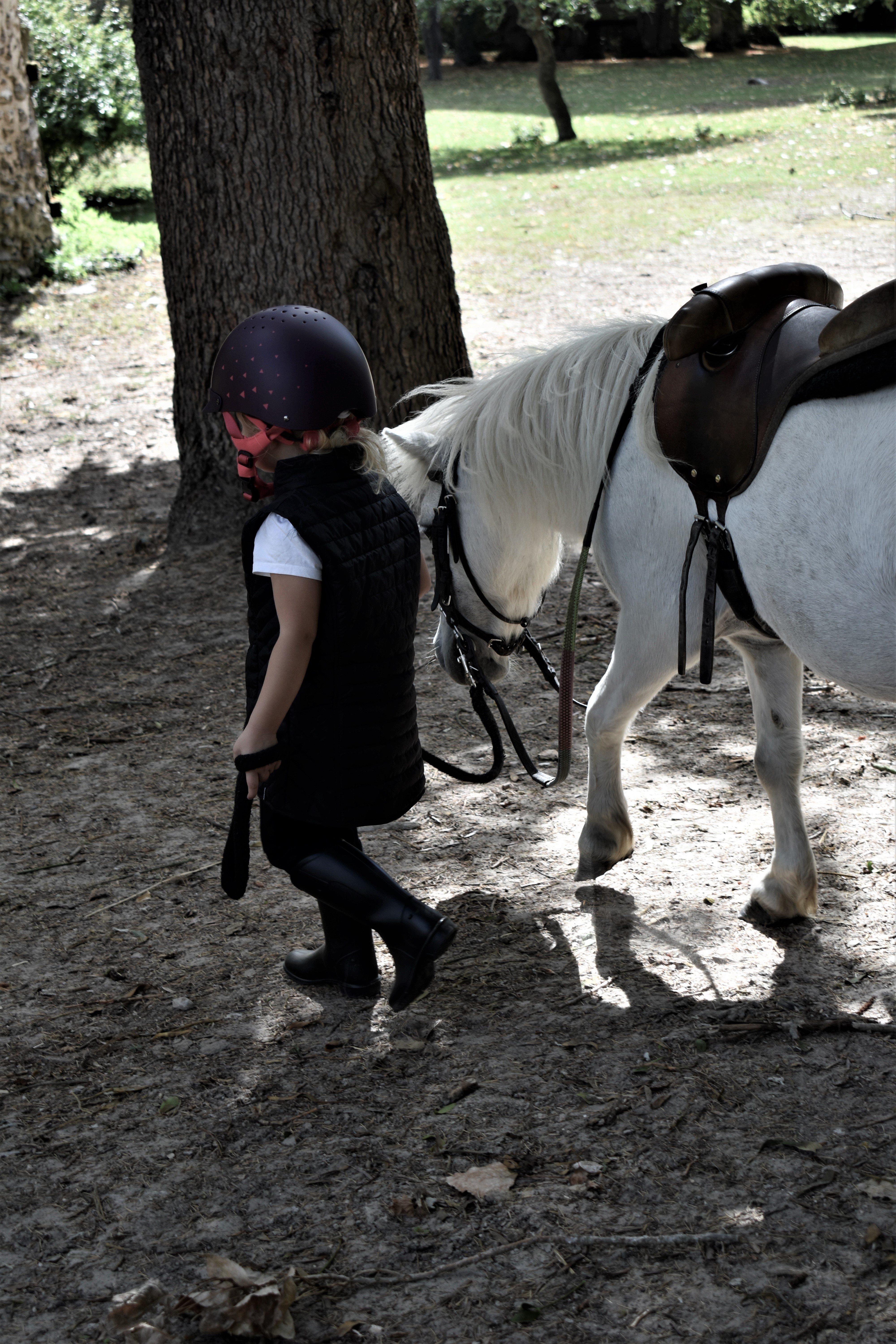 Les Ecuries de Cherisy — photo 3