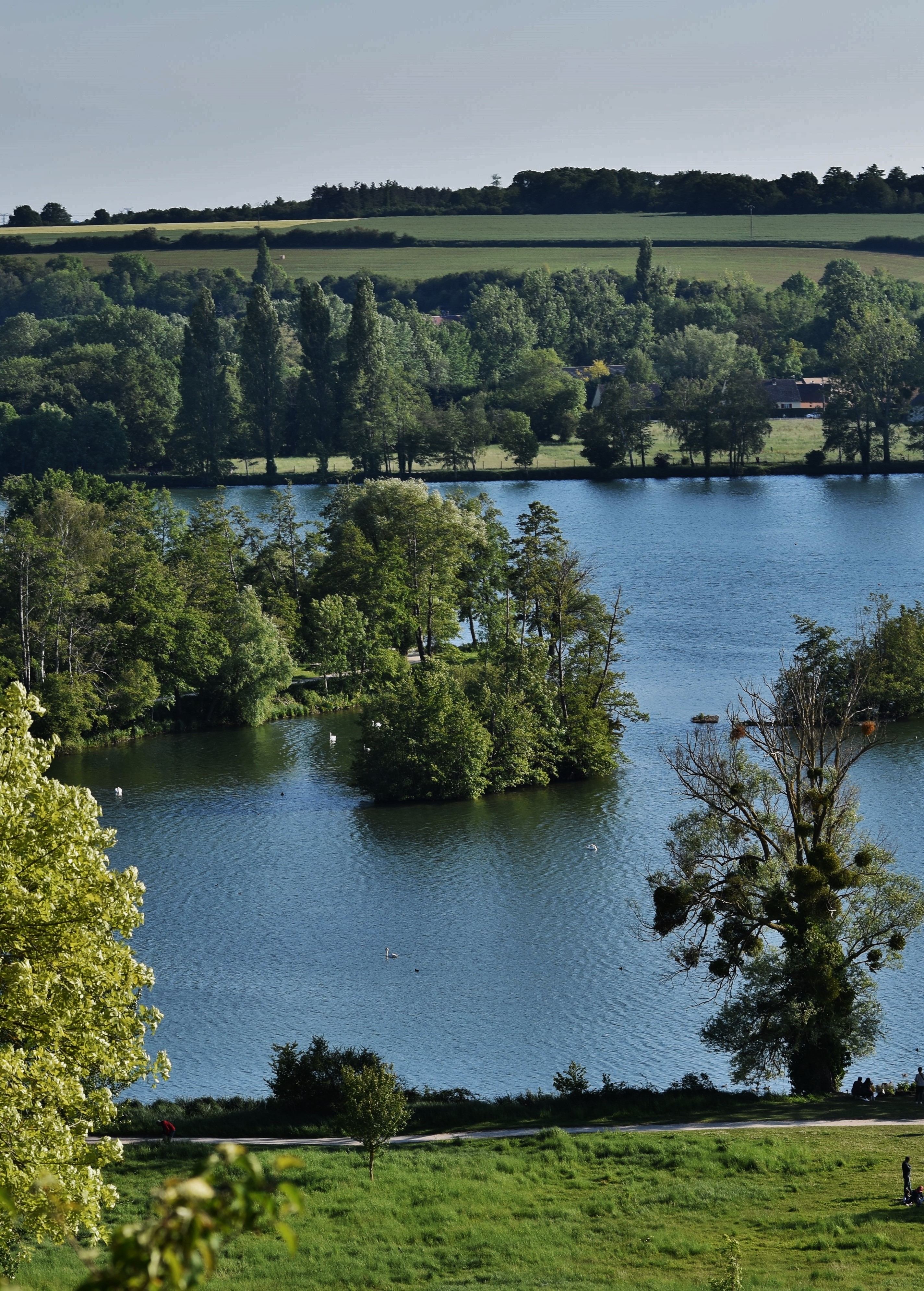 Sentier entre plans d'eau de Fontenay et forêt