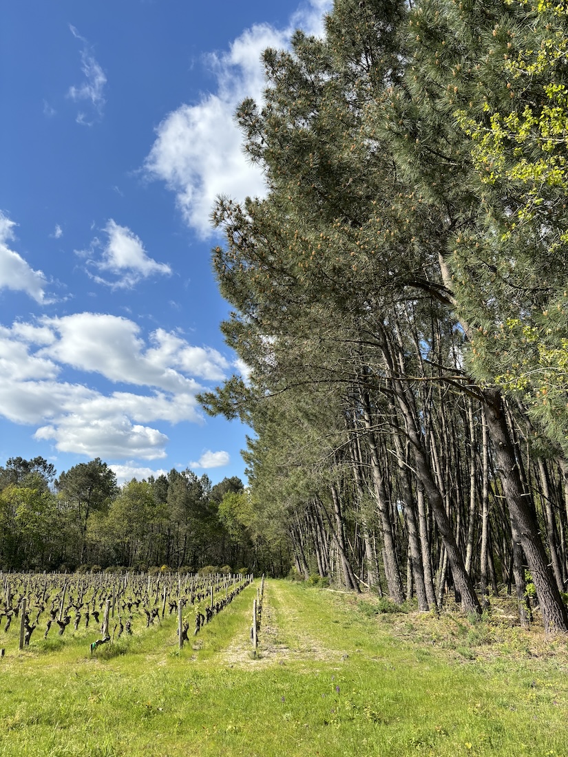 Lodge Park - La Chevellière, Saint-Romain-sur-Cher