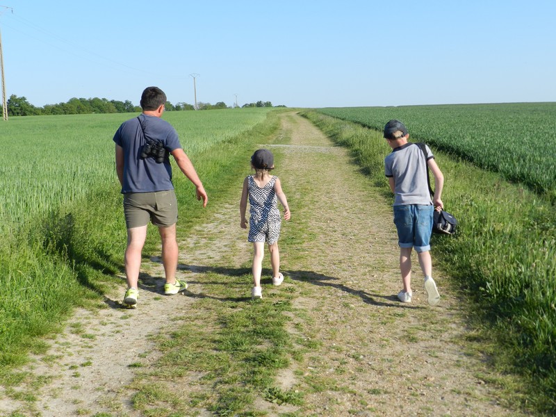 Marche gourmande à Busloup — visuel événement