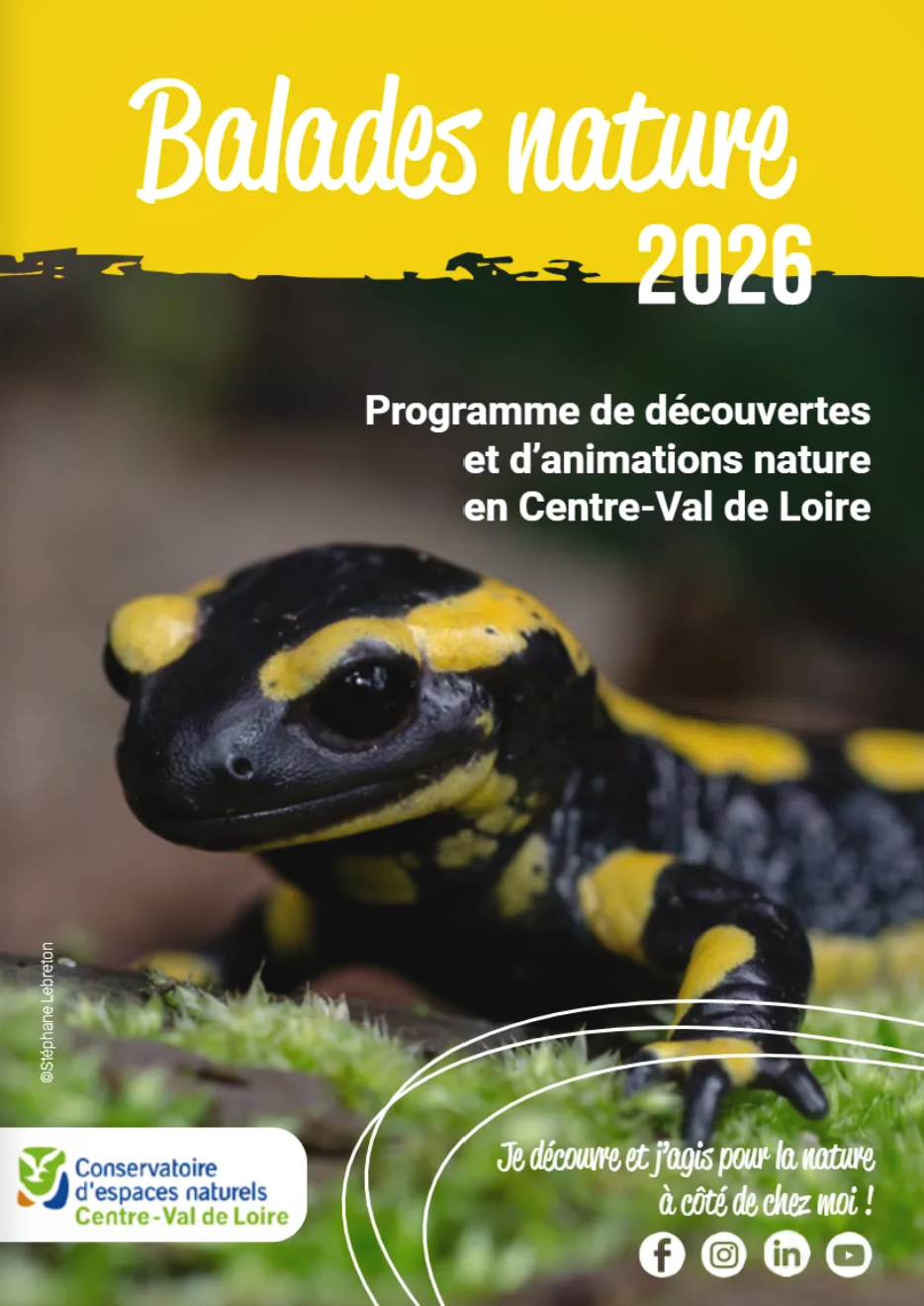 Sortie Nature : Balade découverte sur les chaumes
