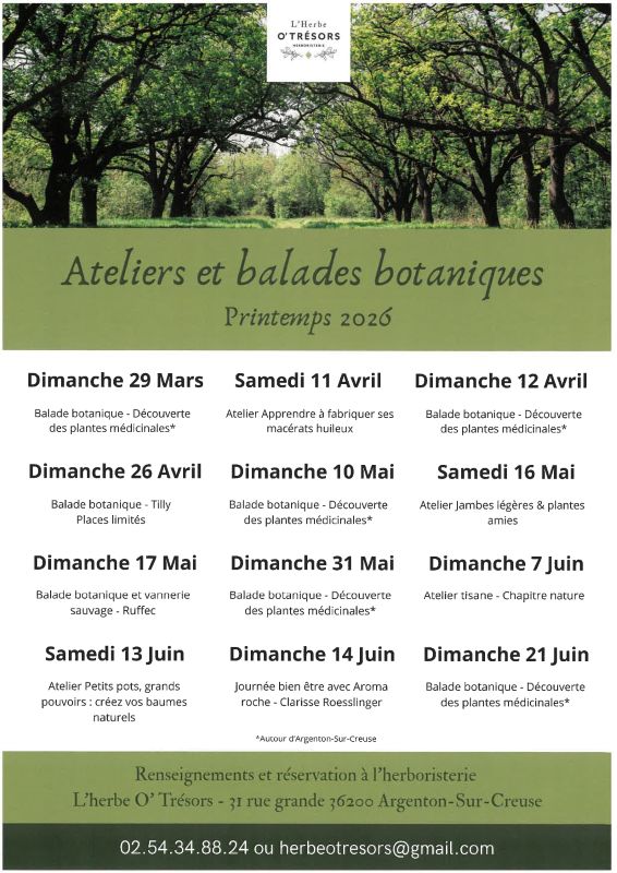 Ateliers et balades botaniques — visuel événement