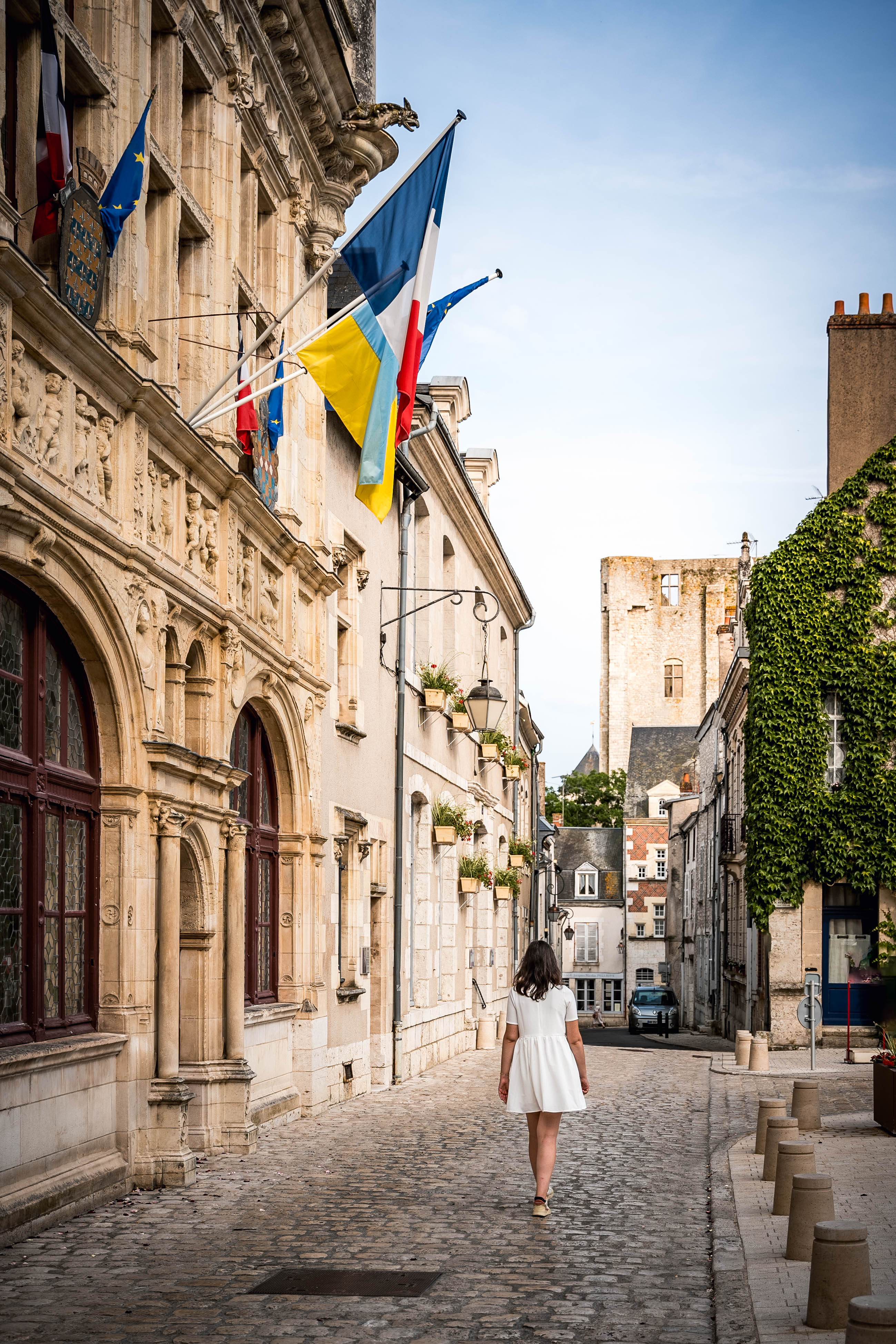 Hôtel de ville de Beaugency, Beaugency - photo 2