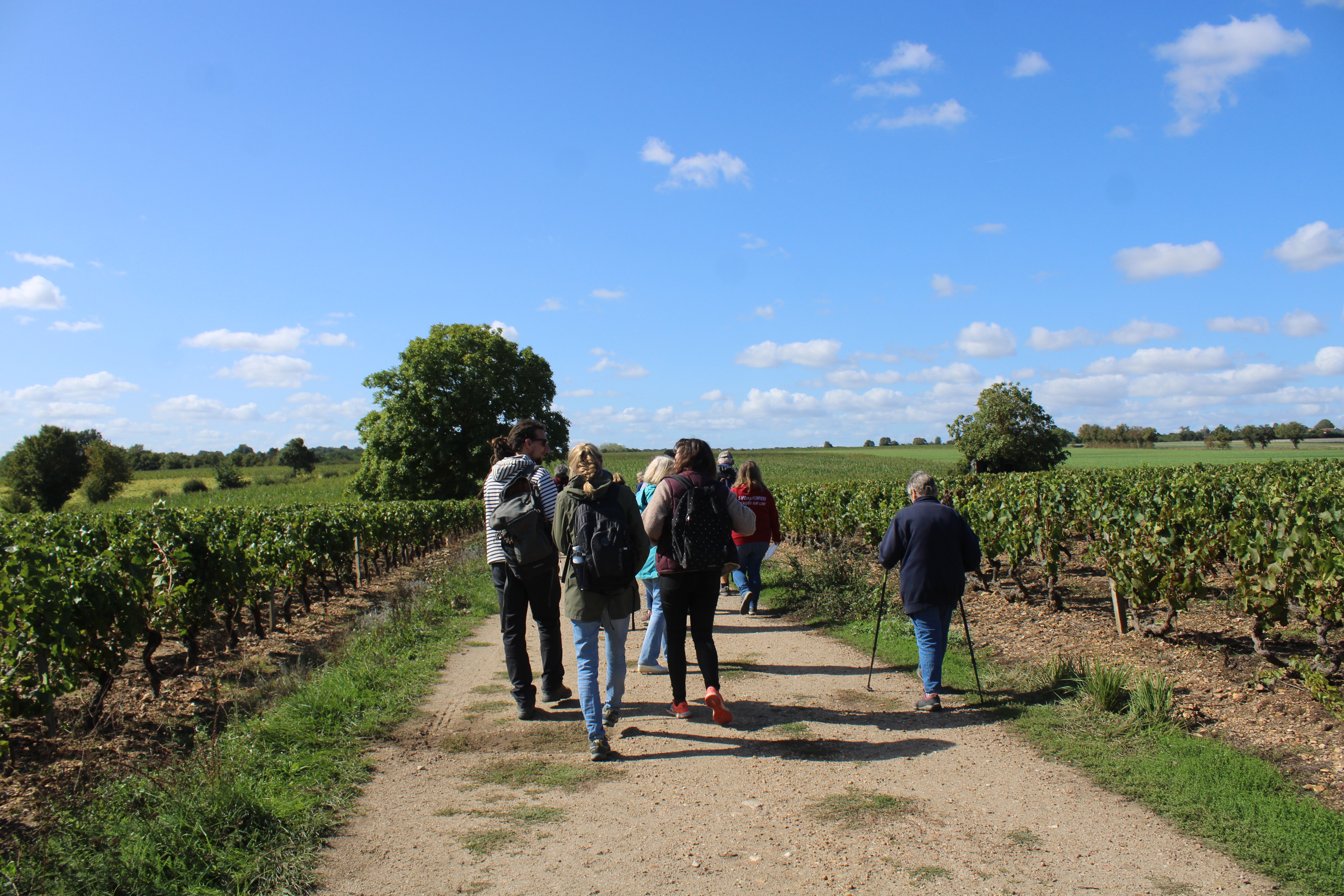 Balade-dégustation "It's wine time" dans les vignes — visuel événement
