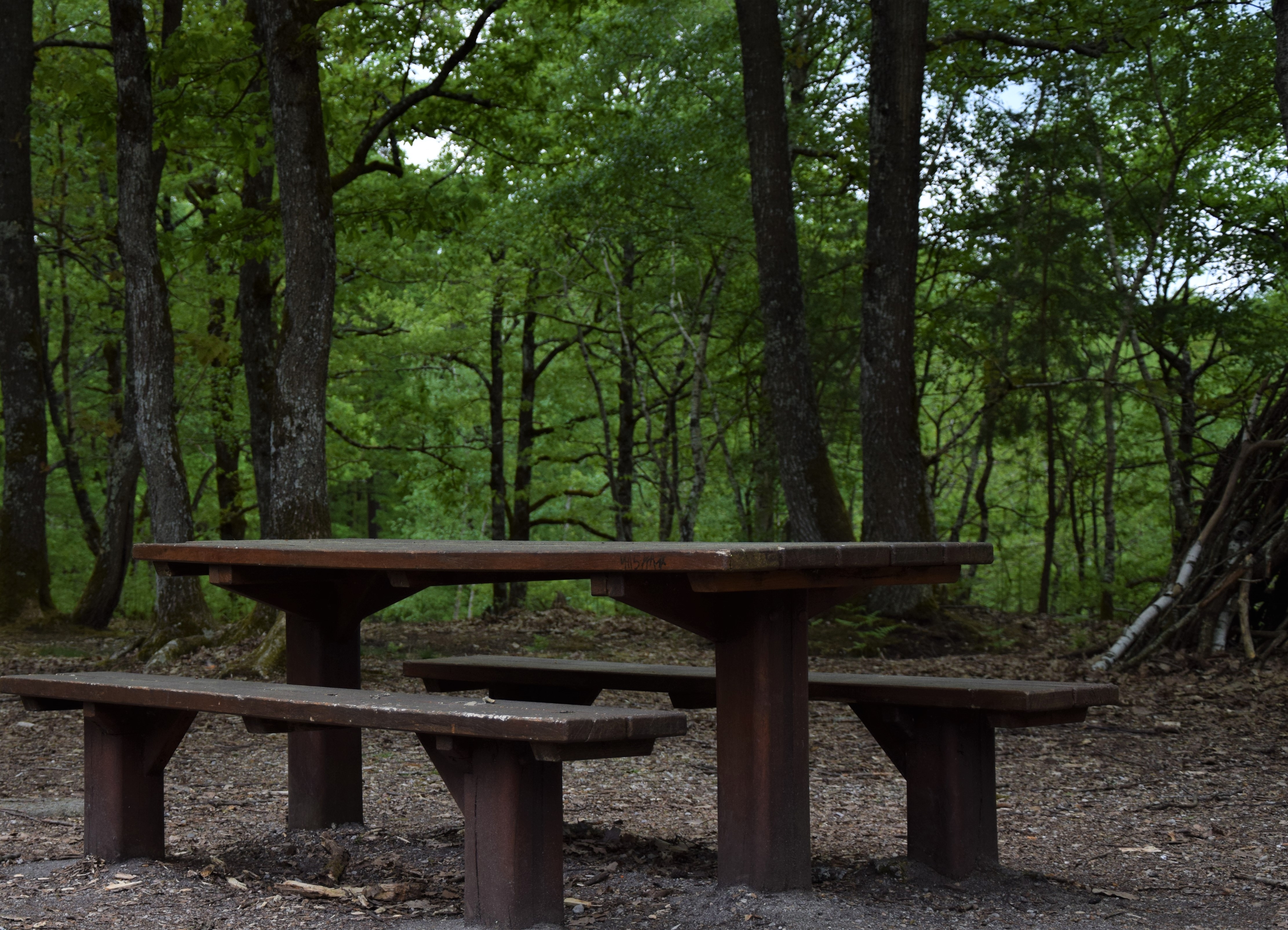 Aire de pique-nique au Belvédère des Caillettes