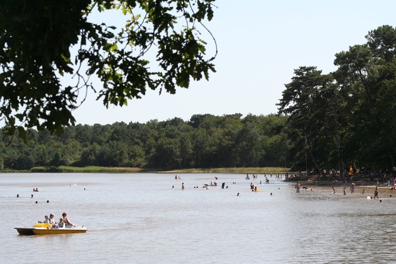 Baignade à l'étang de Bellebouche