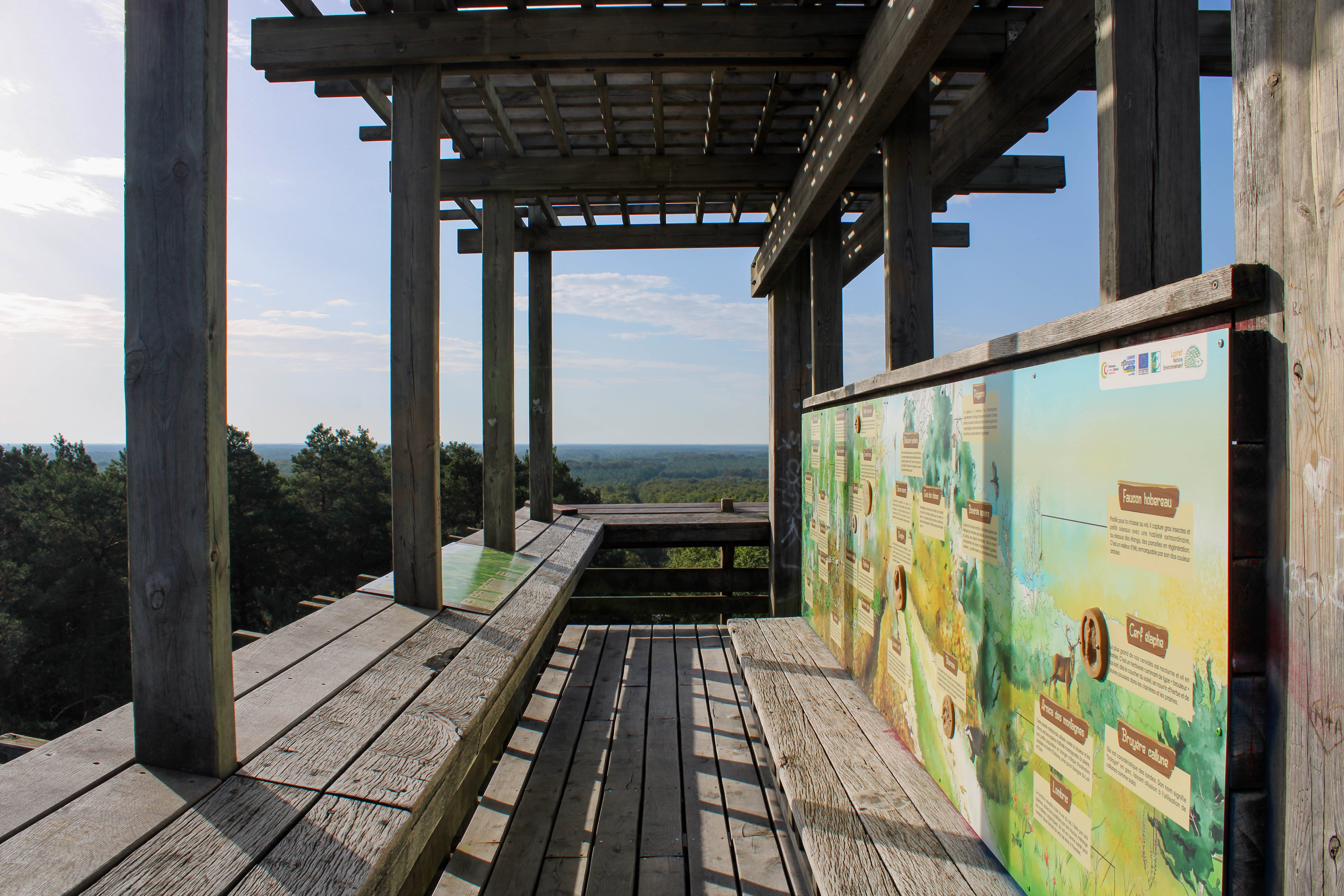 Belvedère des Caillettes, Nibelle - photo 2