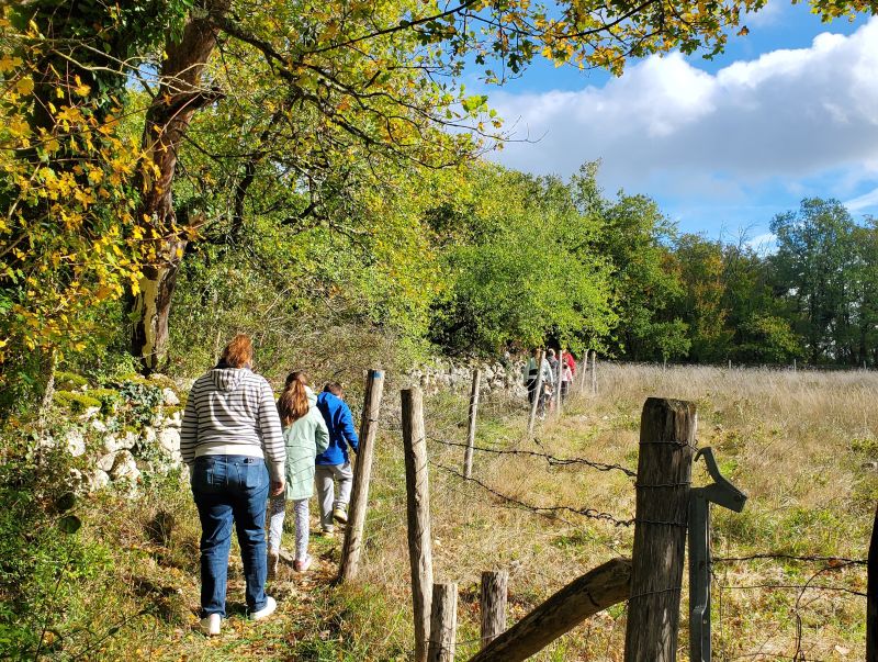 Sentier de découverte du Bois des Roches, Pouligny-Saint-Pierre - photo 4