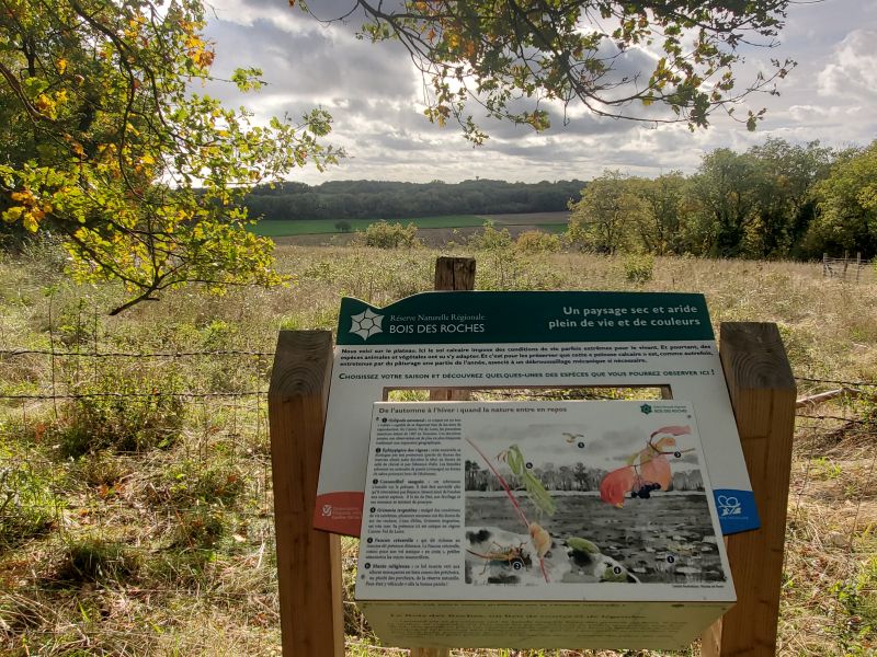 Sentier de découverte du Bois des Roches