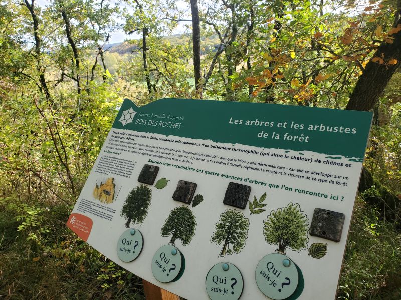 Sentier de découverte du Bois des Roches, Pouligny-Saint-Pierre - photo 7