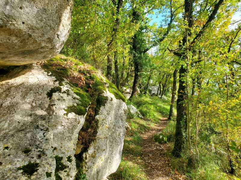 Sentier de découverte du Bois des Roches