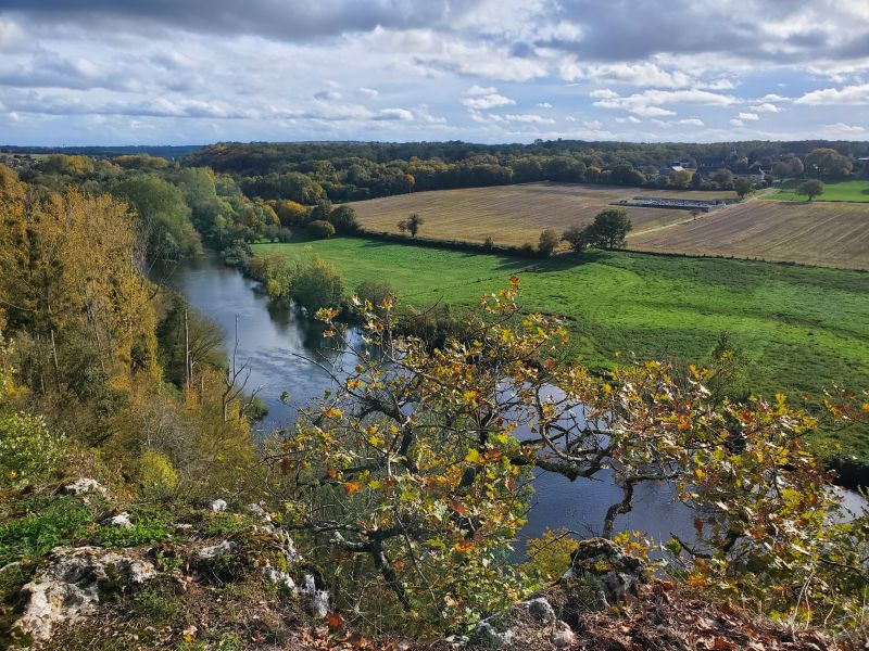 Sentier de découverte du Bois des Roches, Pouligny-Saint-Pierre - photo 6