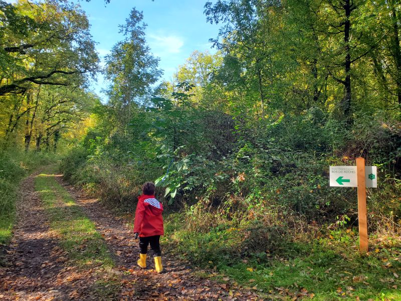 Sentier de découverte du Bois des Roches, Pouligny-Saint-Pierre - photo 5
