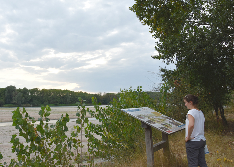 Sentier des Iles de Bonny — photo 2