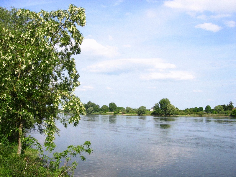 Le balcon de Loire, La Chapelle-Saint-Mesmin - photo 2