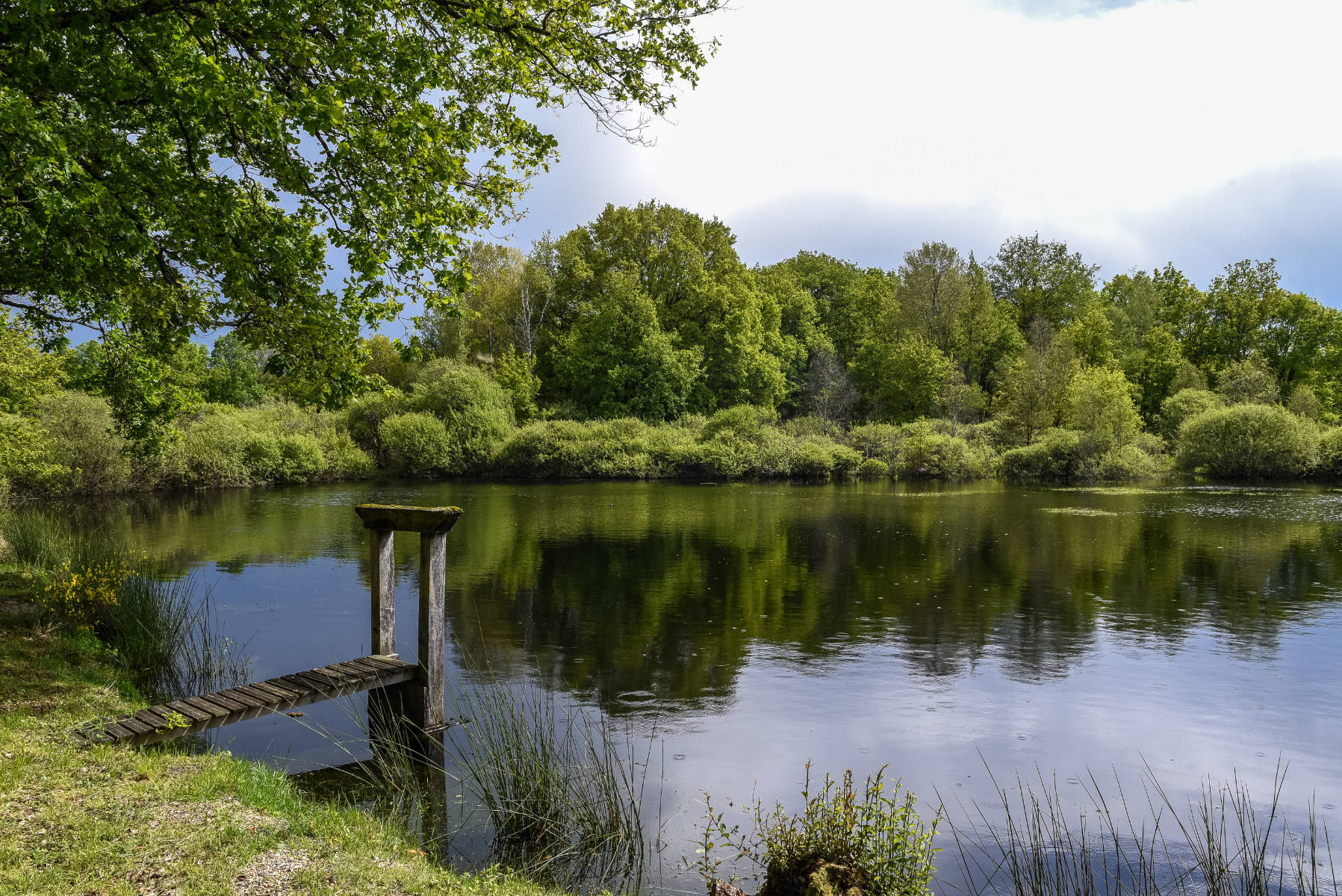 Boucle 11 - La Canne, La Ferté-Saint-Aubin