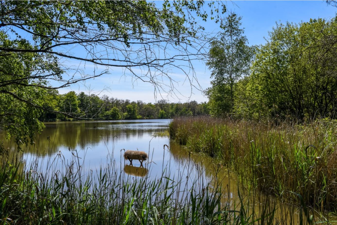 Boucle 12 - La Pucelle, Ménestreau-en-Villette - photo 2