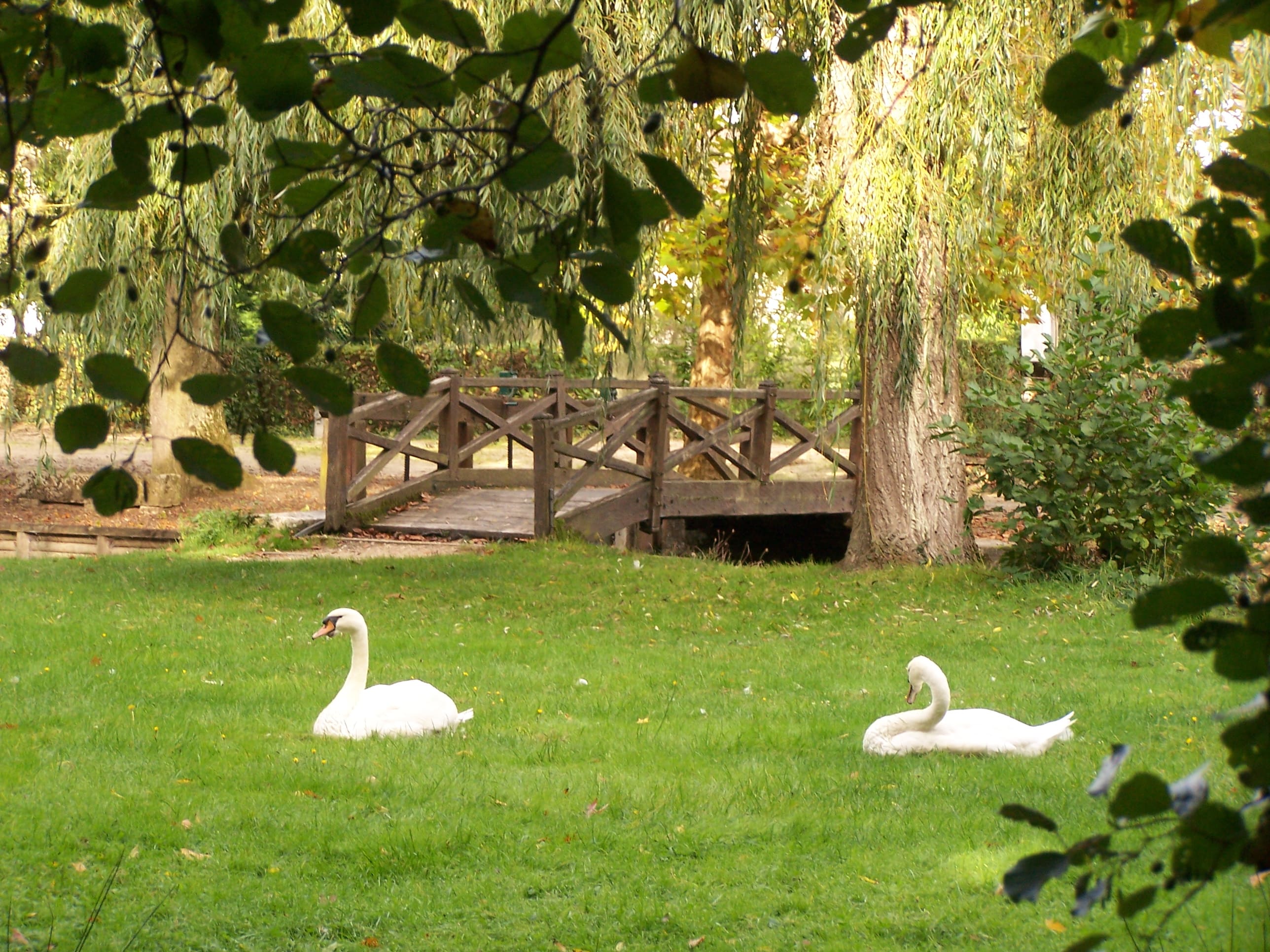 Boucle 04 - La Gaulette, Marcilly-en-Villette - photo 3