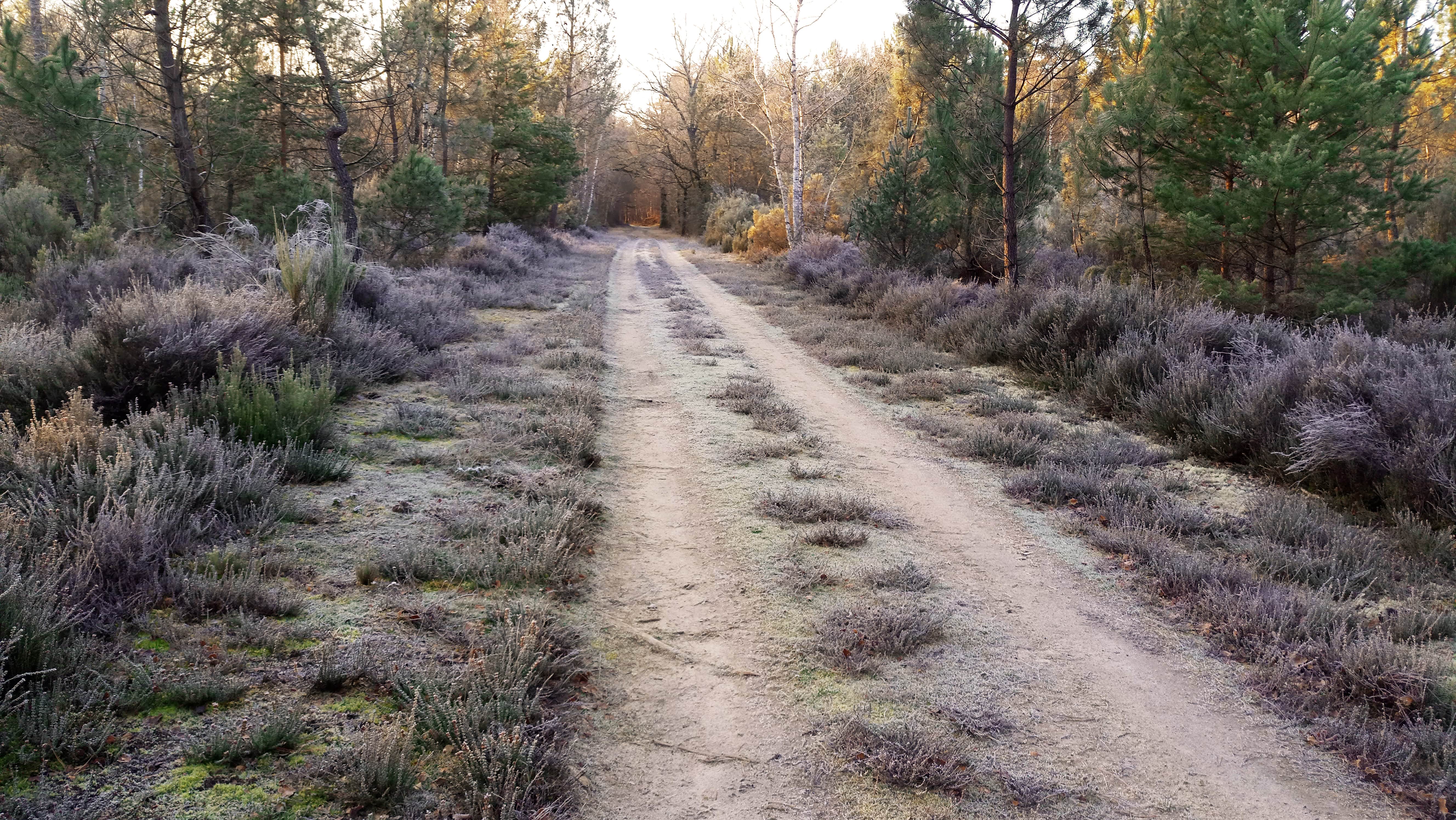 Boucle 06 - La Bruyère